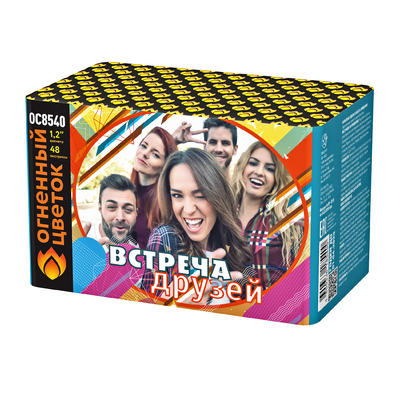 Встреча друзей