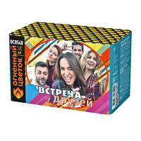 Встреча друзей